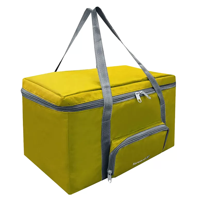 نظم دهنده فوروارد Forward مدل FCLT2231