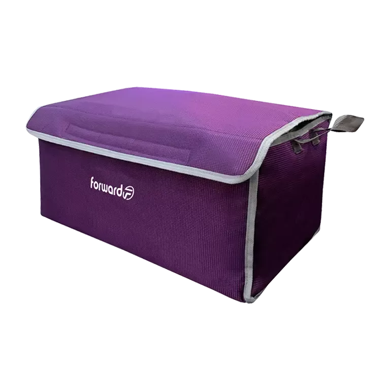 نظم دهنده فوروارد Forward مدل FCLT2233