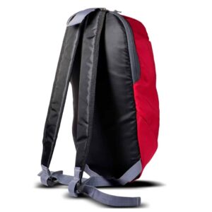 مشخصات کوله پشتی پیاده روی quechua مدل QA4001