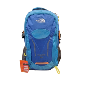 کوله پشتی کوهنوردی The North Face مدل NE8941