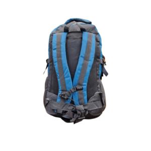 حمل کوله پشتی کوهنوردی The North Face مدل NE8941