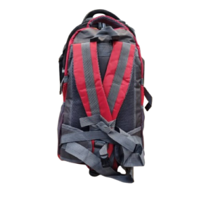 حمل کوله پشتی کوهنوردی The North Face مدل NE4471