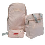 کوله پشتی CLBD مدل CD4141