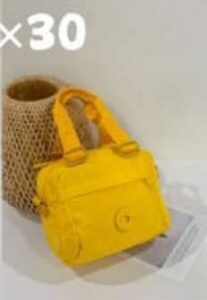 حمل کیف دوشی BOBO مدل BO3003