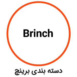 دسته بندی Brinch