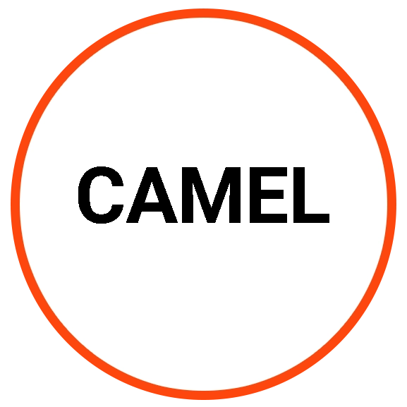 camel