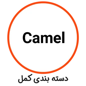 دسته بندی Camel