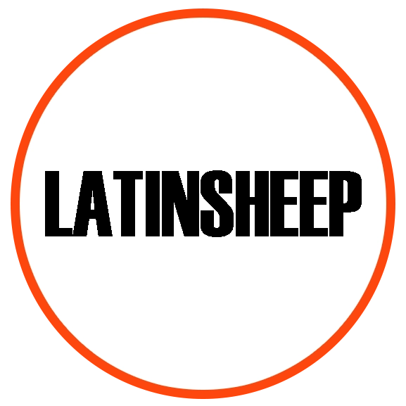 LatinSheep