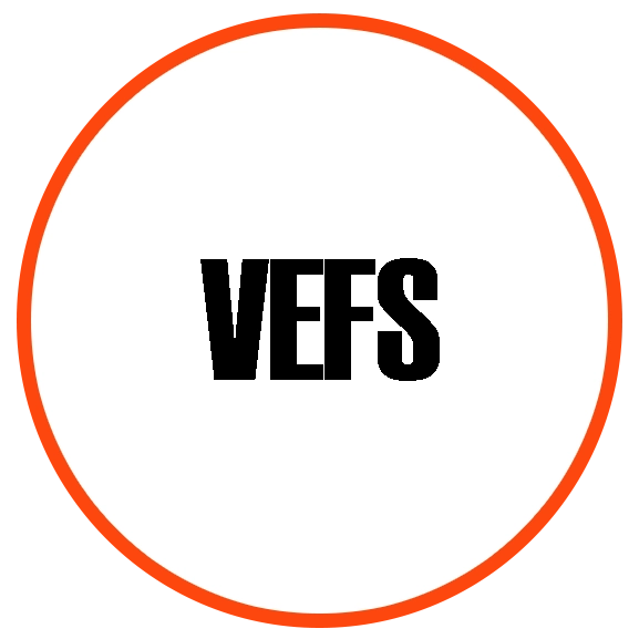 VEFS
